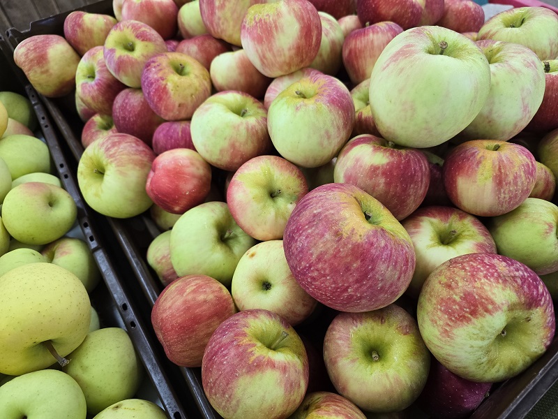apples
